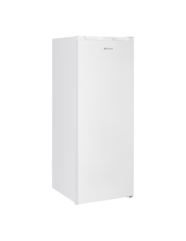 Congelador vertical de 1 puerta 143x54 cm E Blanco